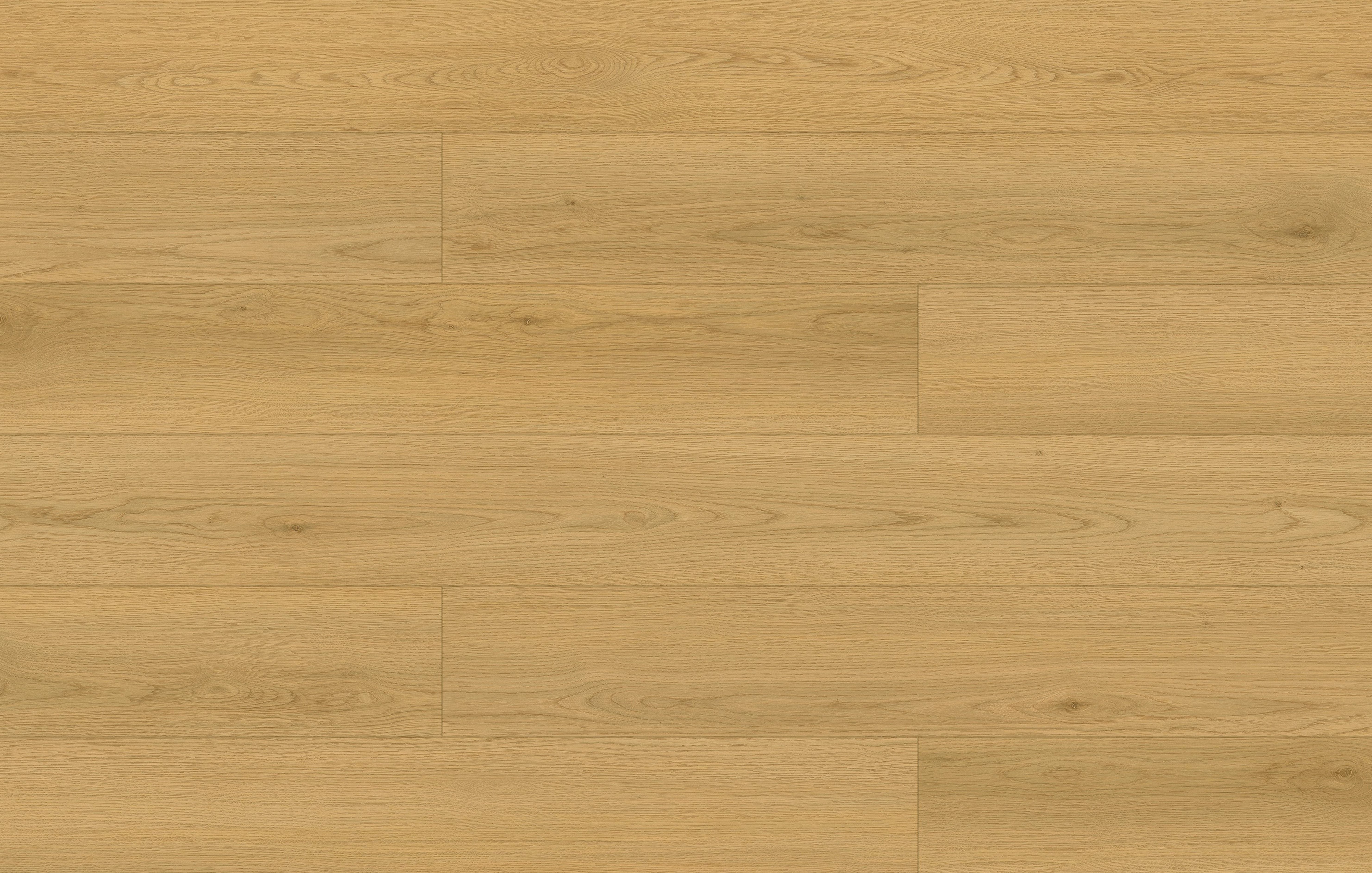 Fuzion Waterfront Laminate - Clam Shell Oak – Wall 2 Wall Flooring