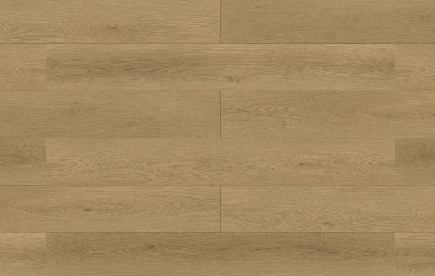 Fuzion Waterfront Laminate - Oyster Oak